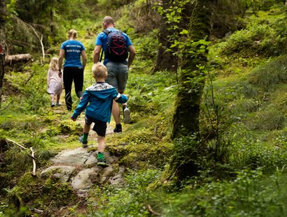 Hiking package for families 