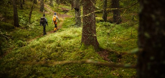 Skogsbada på Kroppefjäll i Dalsland i Västsverige